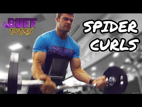 How to Perform Spider Curls - Big Biceps Arms Exercise