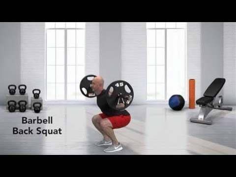 How to do a Barbell Back Squat