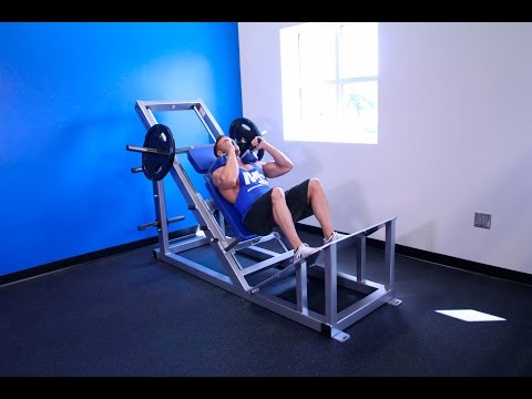 Machine Hack Squat