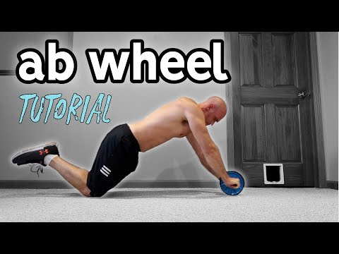 Ab Wheel For Beginners | Rollout Progression and Extra Exercises