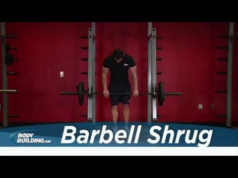 Barbell Shrug - Shoulder Exercise - Bodybuilding.com