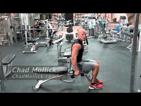 Seated Dumbbell Hammer Curl