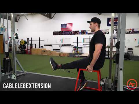 Cable Leg Extension