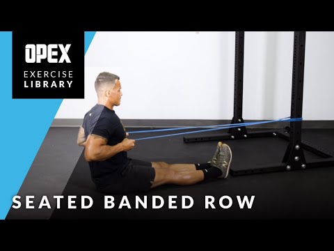 Seated Banded Row - OPEX Exercise Library