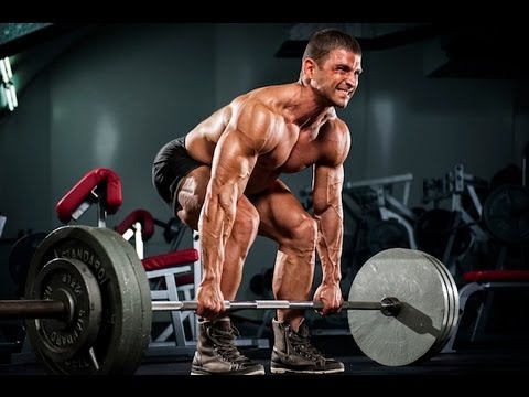 Power Hypertrophy Upper Lower (PHUL) Workout Routine