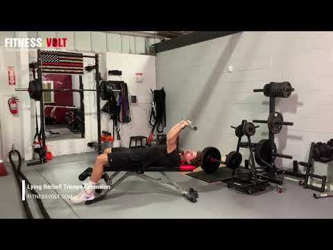 Bodybuilding School: How to Flex Your Triceps – Fitness Volt