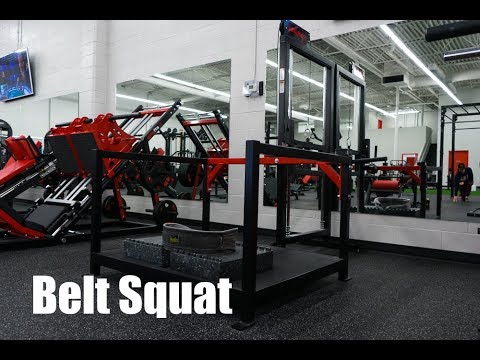 Belt Squat Tutorial