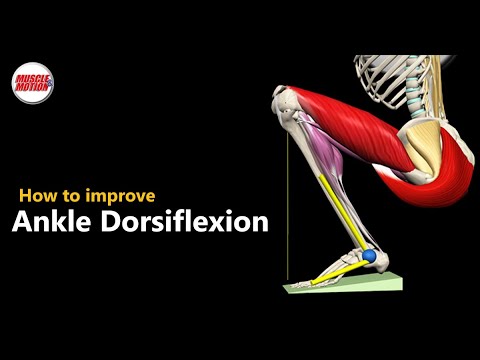 How to improve Ankle Dorsiflexion for a better squat