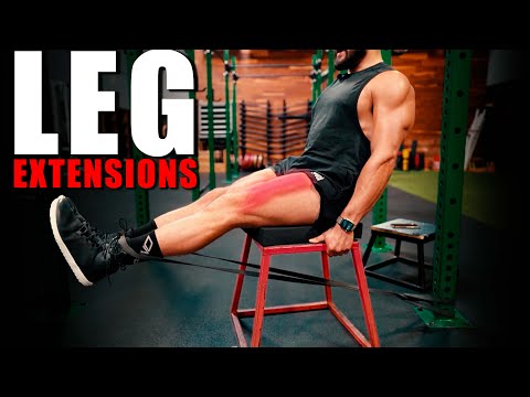 Resistance Band Leg Extensions | Eric Leija