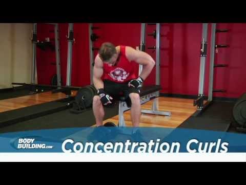 Concentration Curls - Biceps Exercise - Bodybuilding.com