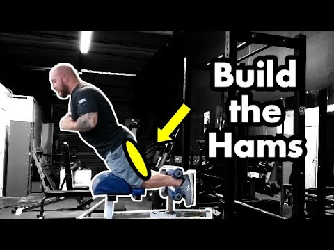 Nordic Hamstring Curl: Benefits, Setups, Tips, and Progressions - SET FOR  SET