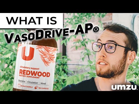 What Is VasoDrive-AP?