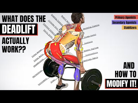 BEFORE YOU DEADLIFT, Understand the Anatomy Behind It! (Which Muscles It Works &amp; How to Modify It) 🔥