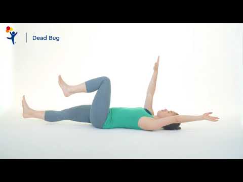 Core Exercise: Dead Bug