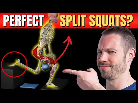 How To Bulgarian Split Squat 101