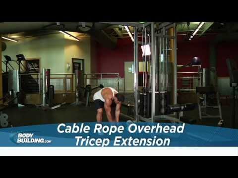 Cable Rope Overhead Tricep Extension - Tricep Exercise - Bodybuilding.com