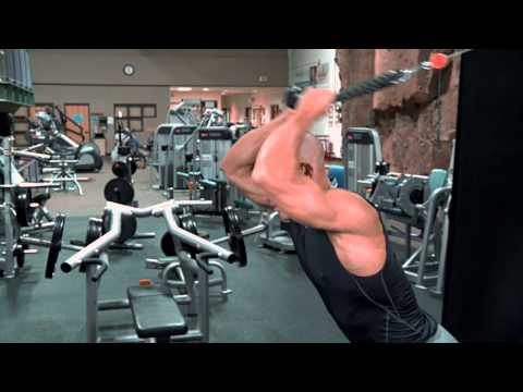 Overhead Cable Tricep Extension