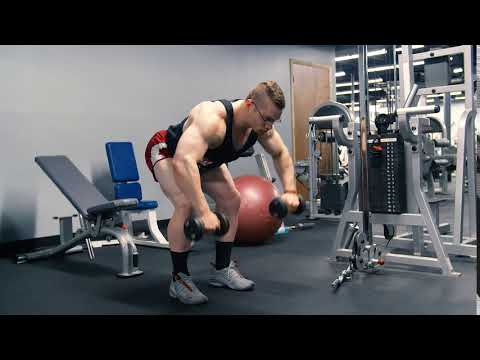 Dumbbell Facepull