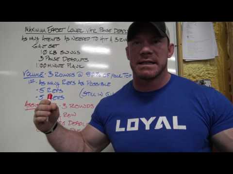 FREE STRENGTH PROGRAM!! How I Set Up the Conjugate Method