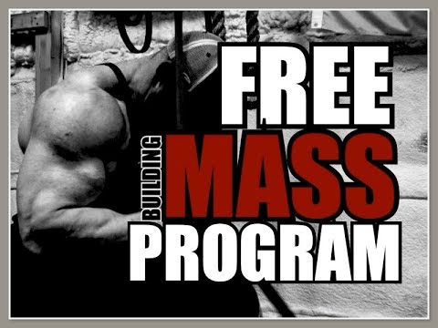 FREE MASS BUILDING PROGRAM!