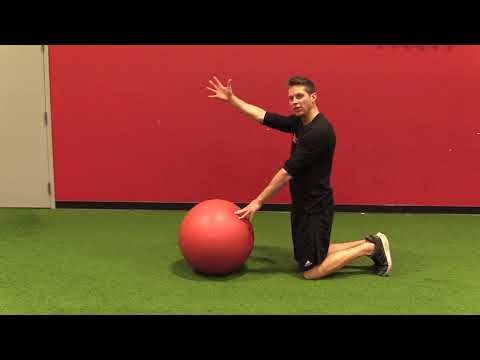 Stability Ball Rollout