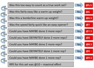 Powerlifting Progression Chart