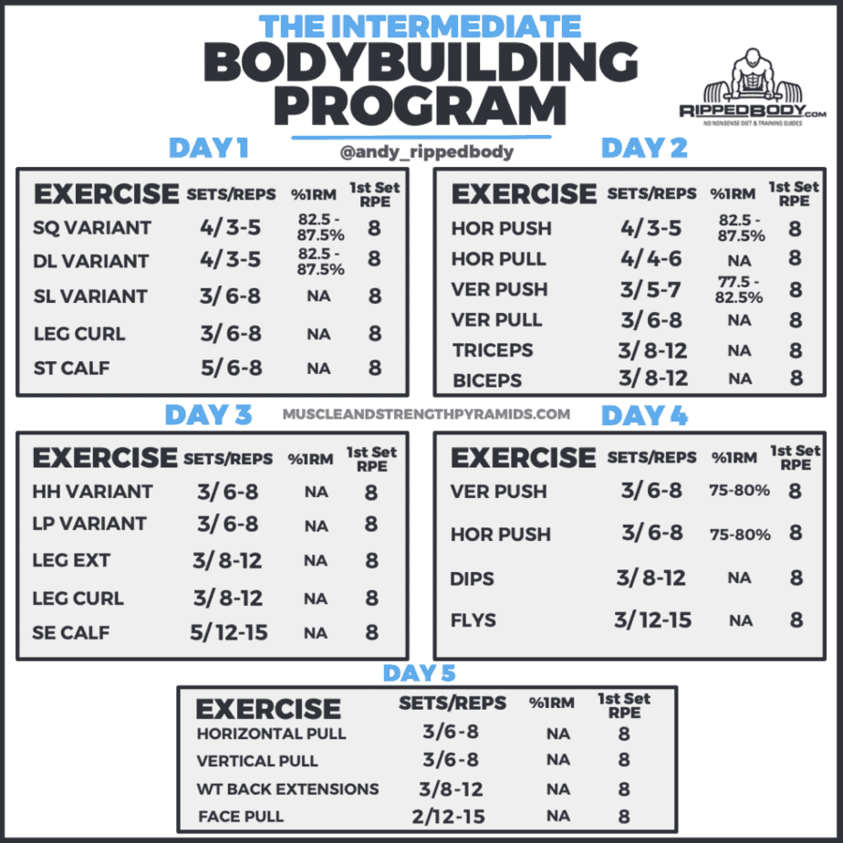 Intermediate Bodybuilding Program Spreadsheet by Ripped Body 5