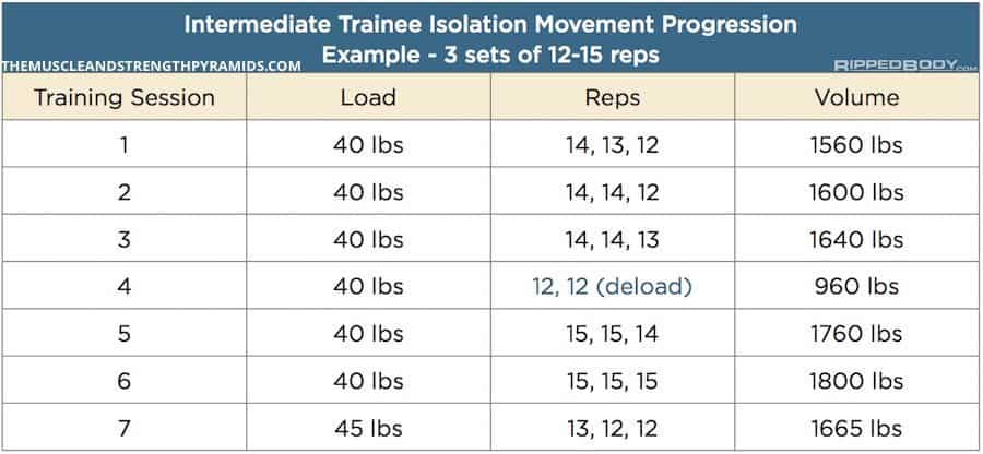 Intermediate Bodybuilding Program Spreadsheet by Ripped Body (5 Day