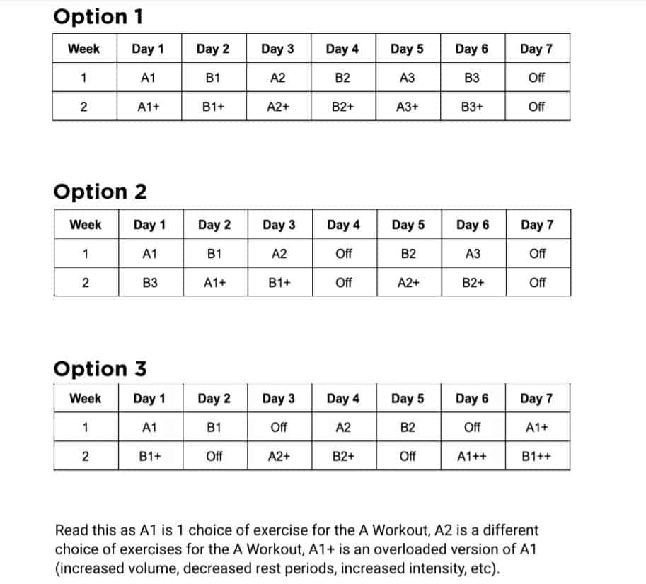 Bodyweight 2025 ppl program