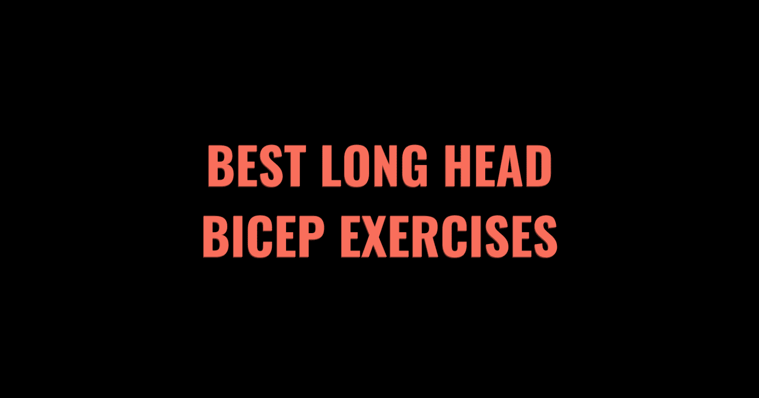 The 7 Best Medial Head Tricep Exercises 2025 Lift Vault The 7 Best Medial Head Tricep Exercises 2025 Lift Vault