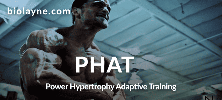 PHAT Workout Program - Boostcamp App